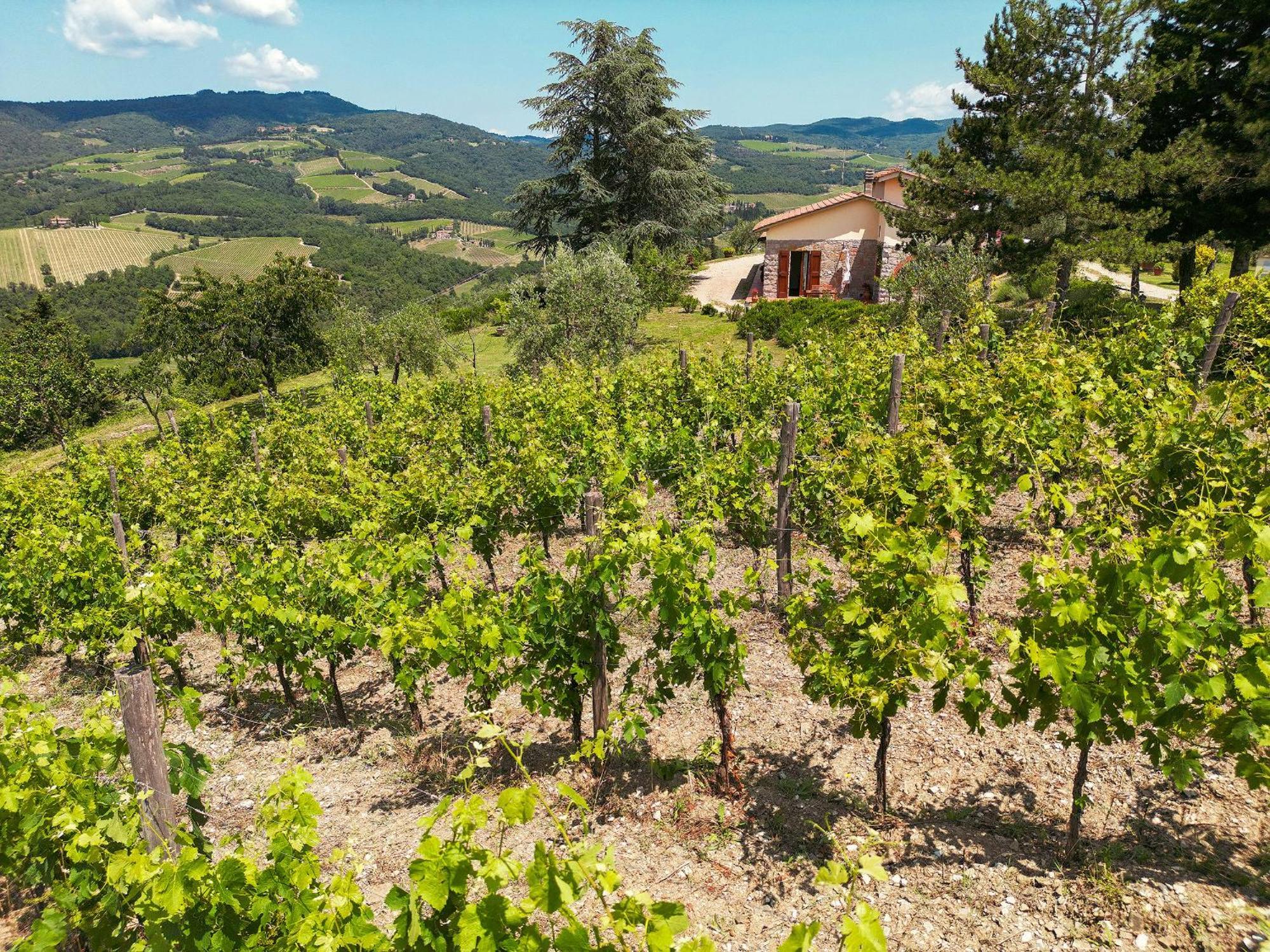 Tenuta Il Poggetto Radda in Chianti Exteriör bild