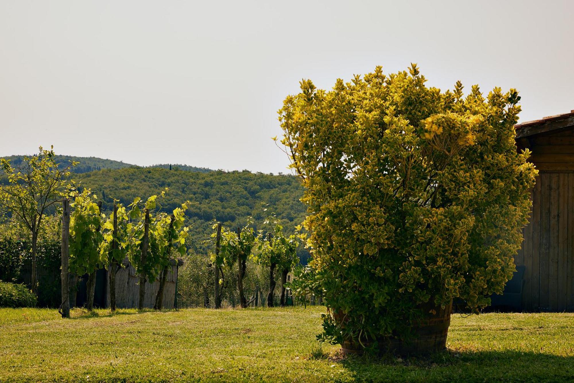 Tenuta Il Poggetto Radda in Chianti Exteriör bild