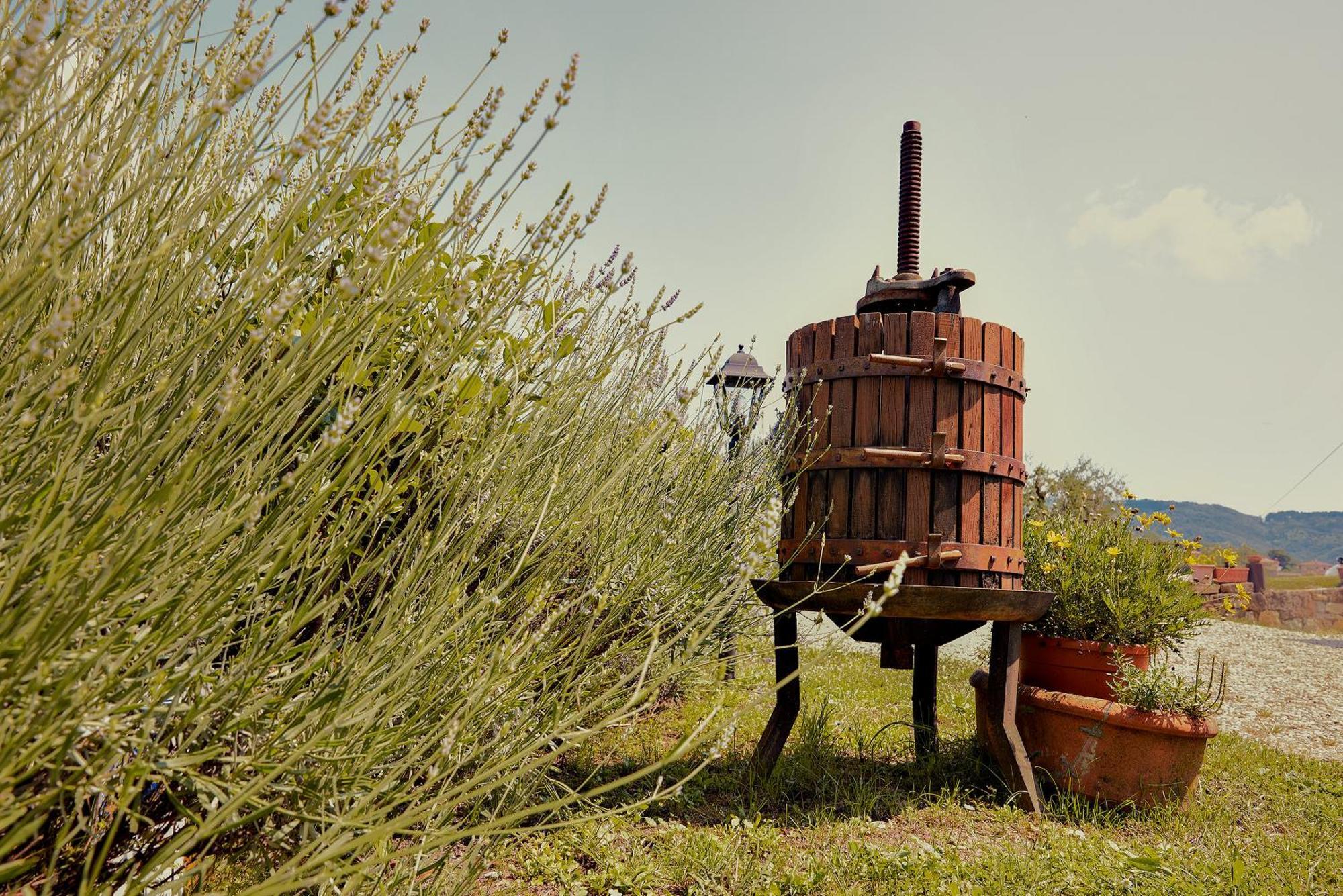 Tenuta Il Poggetto Radda in Chianti Exteriör bild